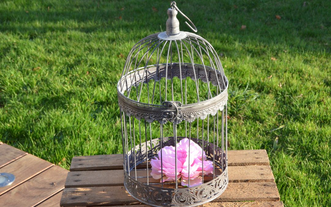 Cage à oiseaux : 10 €