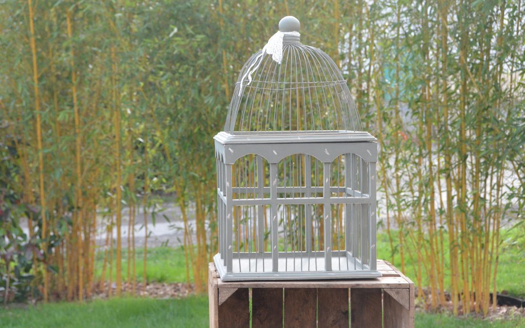Cage à oiseaux en bois: 5 €