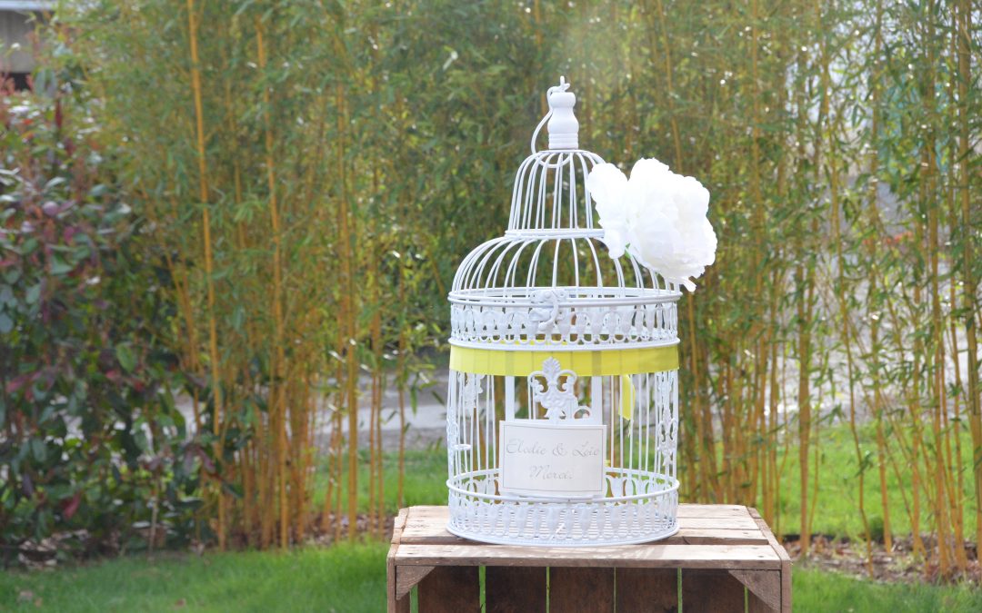 cage à oiseaux blanche: 10 €